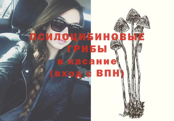 бошки Алексеевка
