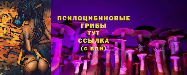 спиды Алексин